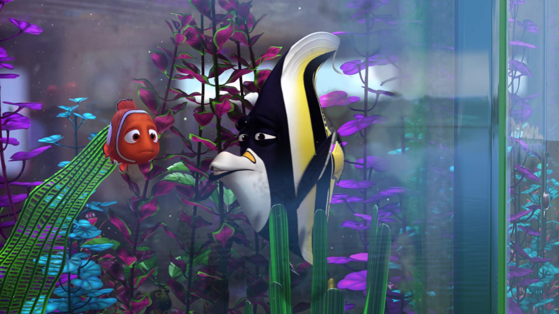 Finding Nemo (2003) Screencap | Fancaps