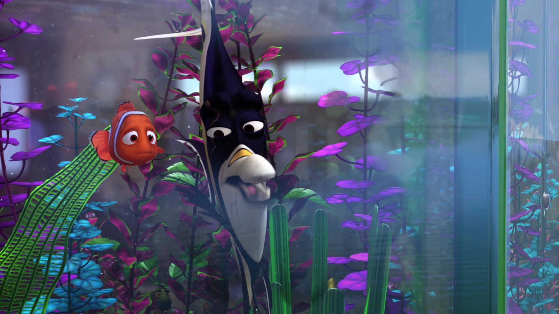 Finding Nemo (2003) Screencap | Fancaps