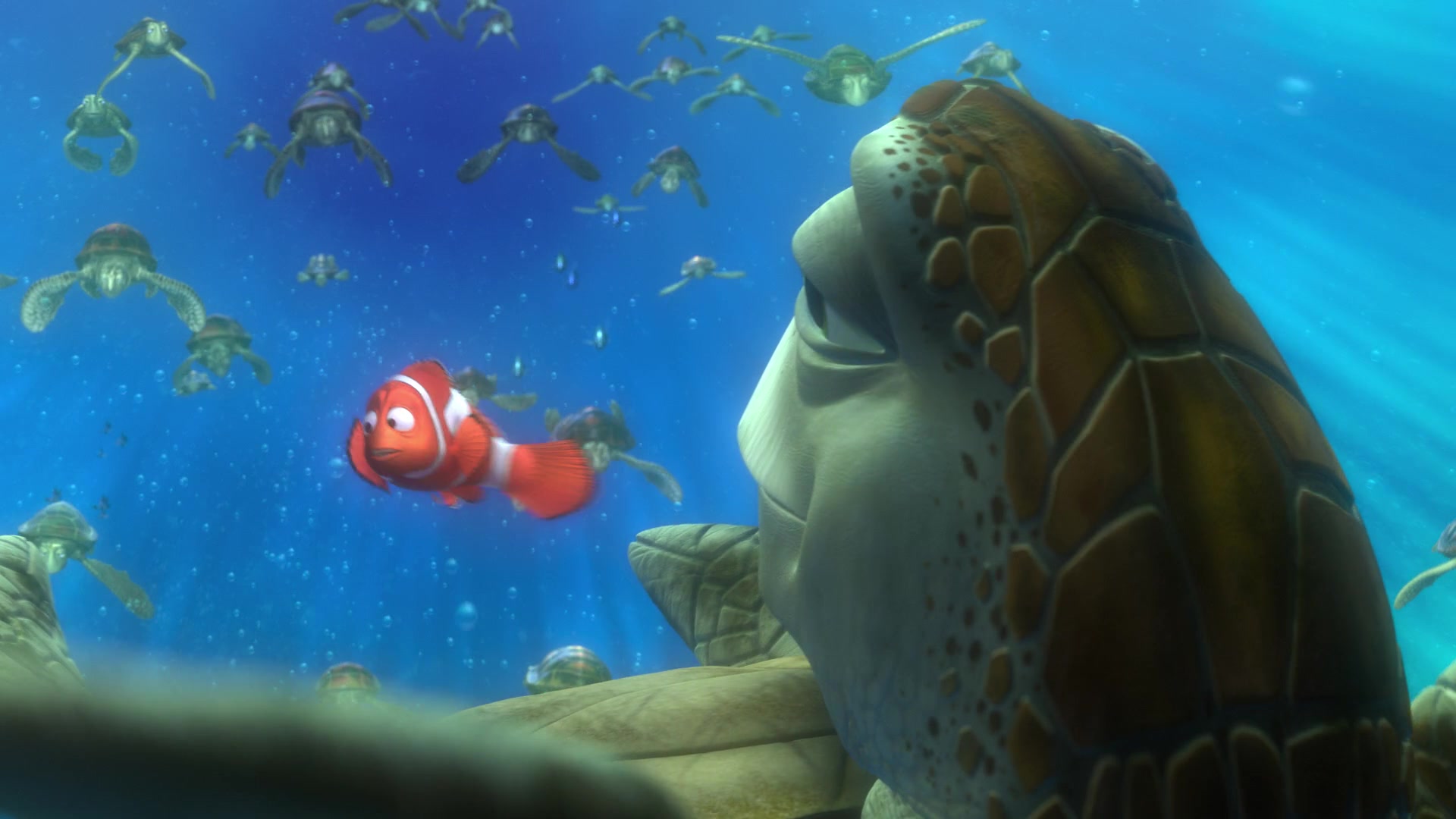 Finding Nemo (2003) Screencap | Fancaps