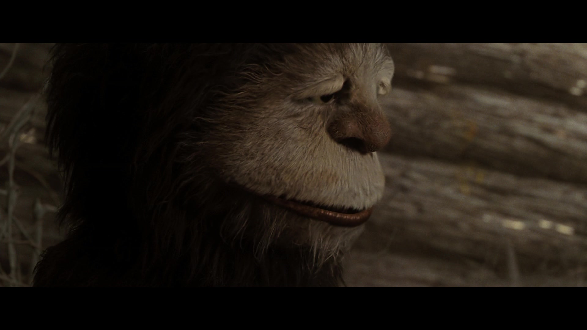 Where the Wild Things Are (2009) Screencap | Fancaps