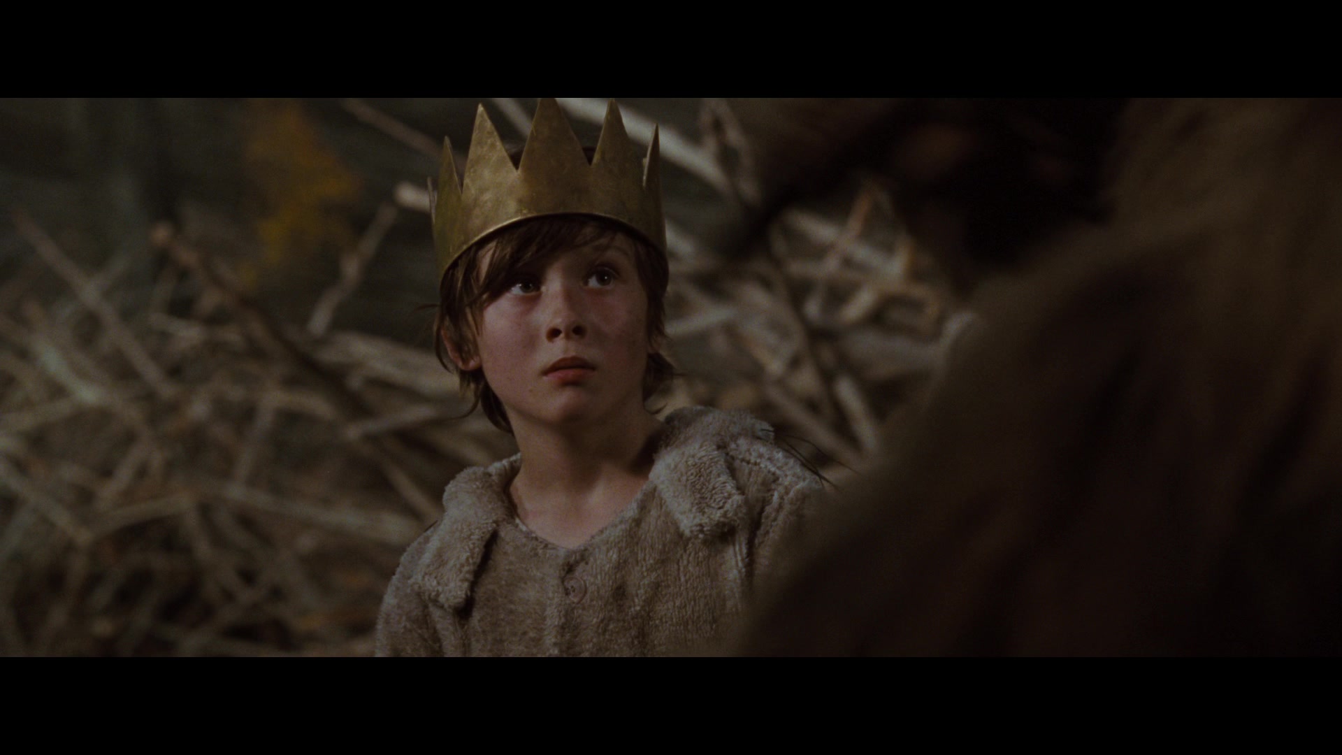 Where the Wild Things Are (2009) Screencap | Fancaps