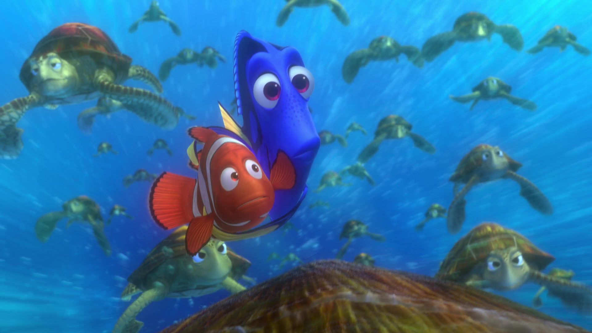 Finding Nemo (2003) Screencap | Fancaps