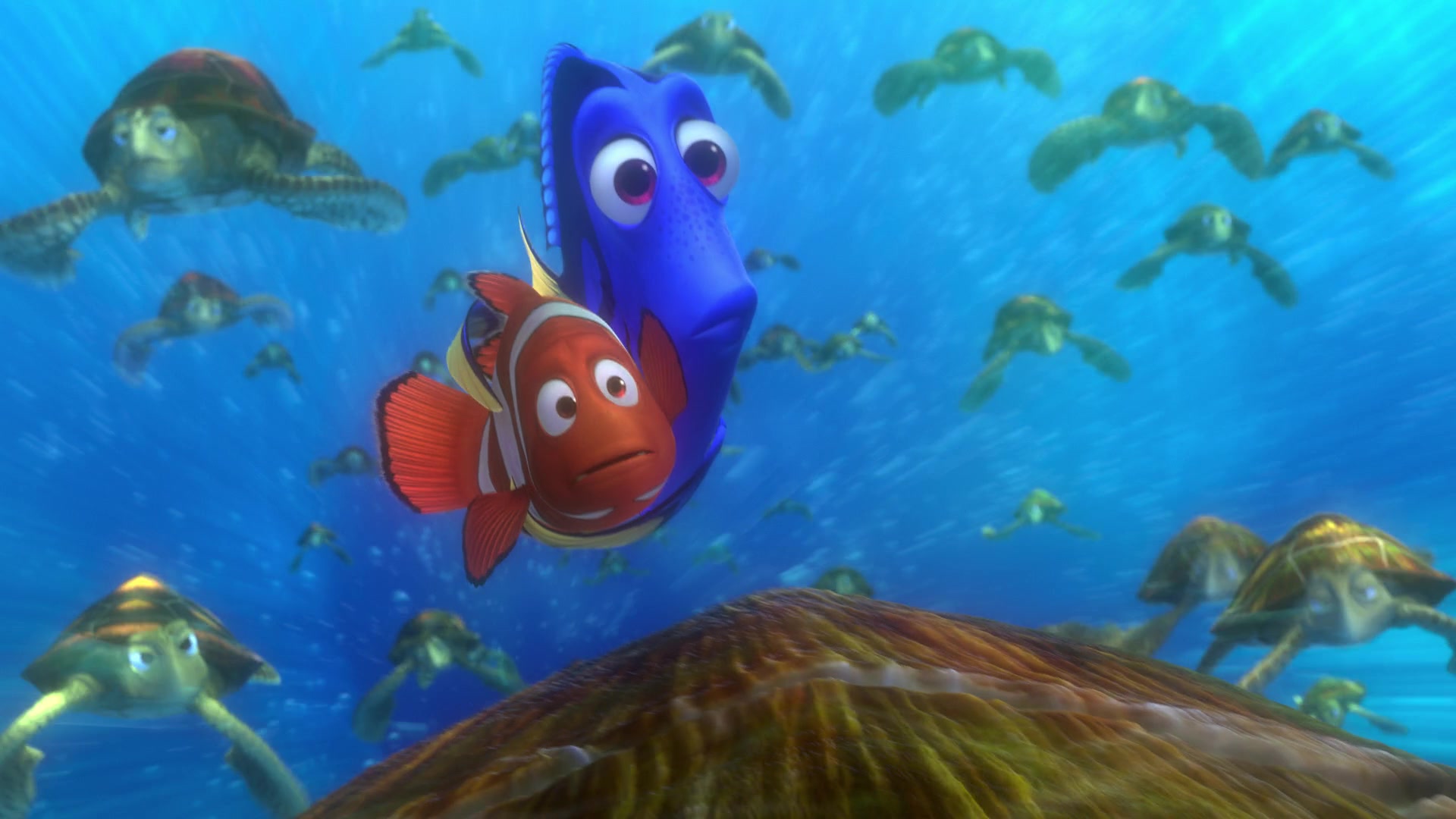 Finding Nemo (2003) Screencap | Fancaps