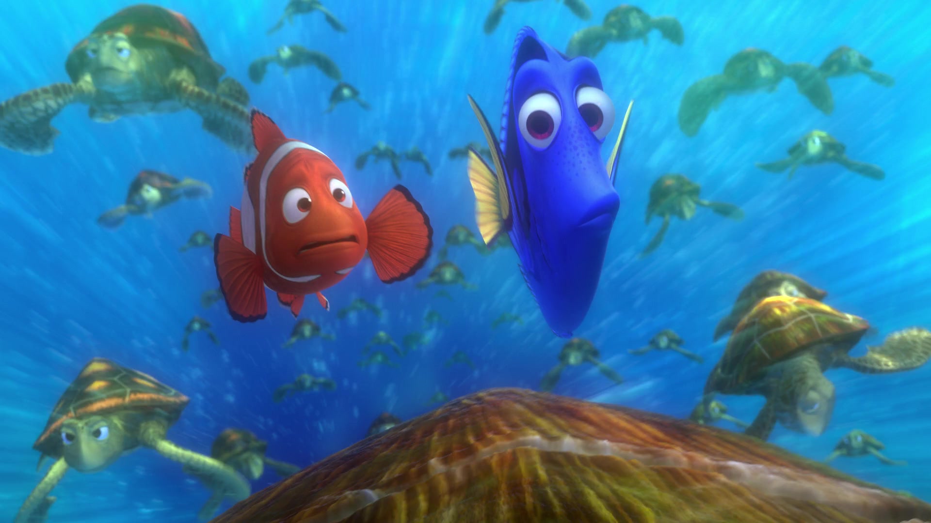 Finding Nemo (2003) Screencap | Fancaps