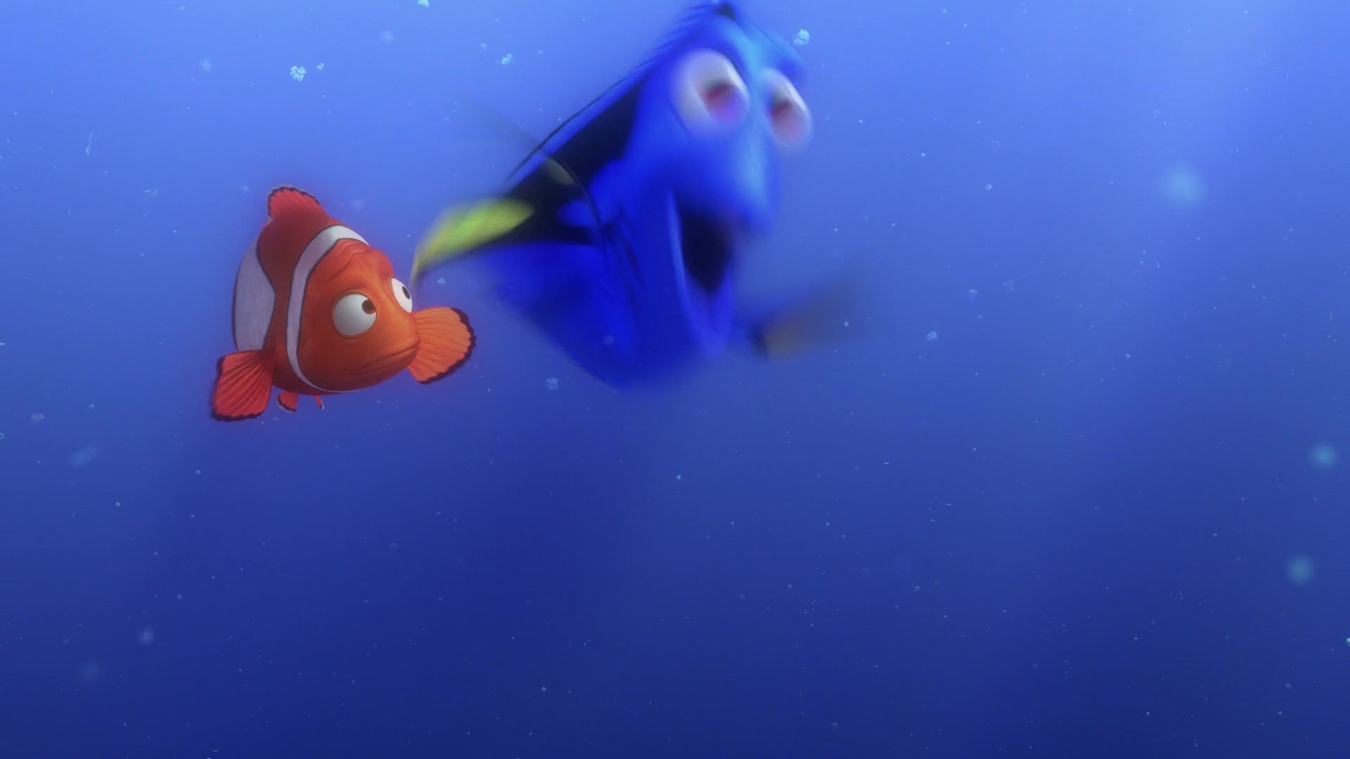 Finding Nemo (2003) Screencap | Fancaps