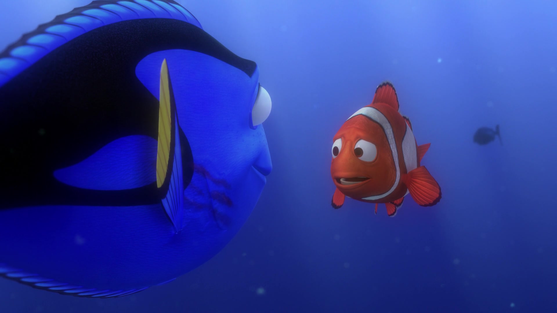 Finding Nemo (2003) Screencap | Fancaps