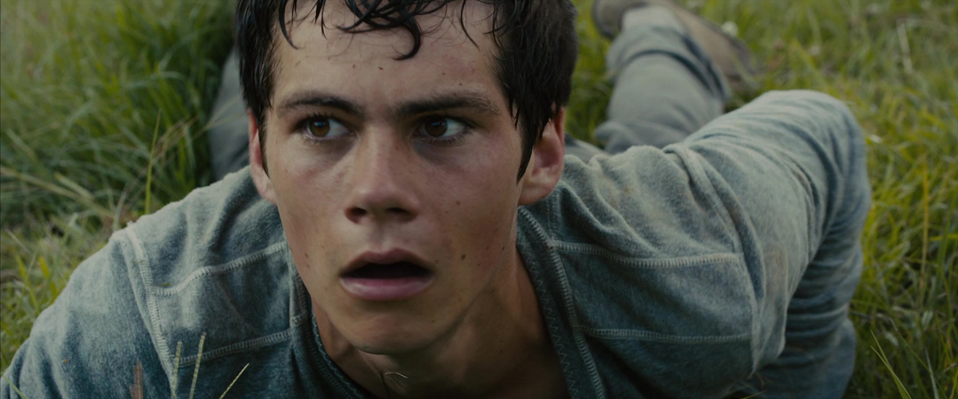 The Maze Runner (2014) Screencap | Fancaps