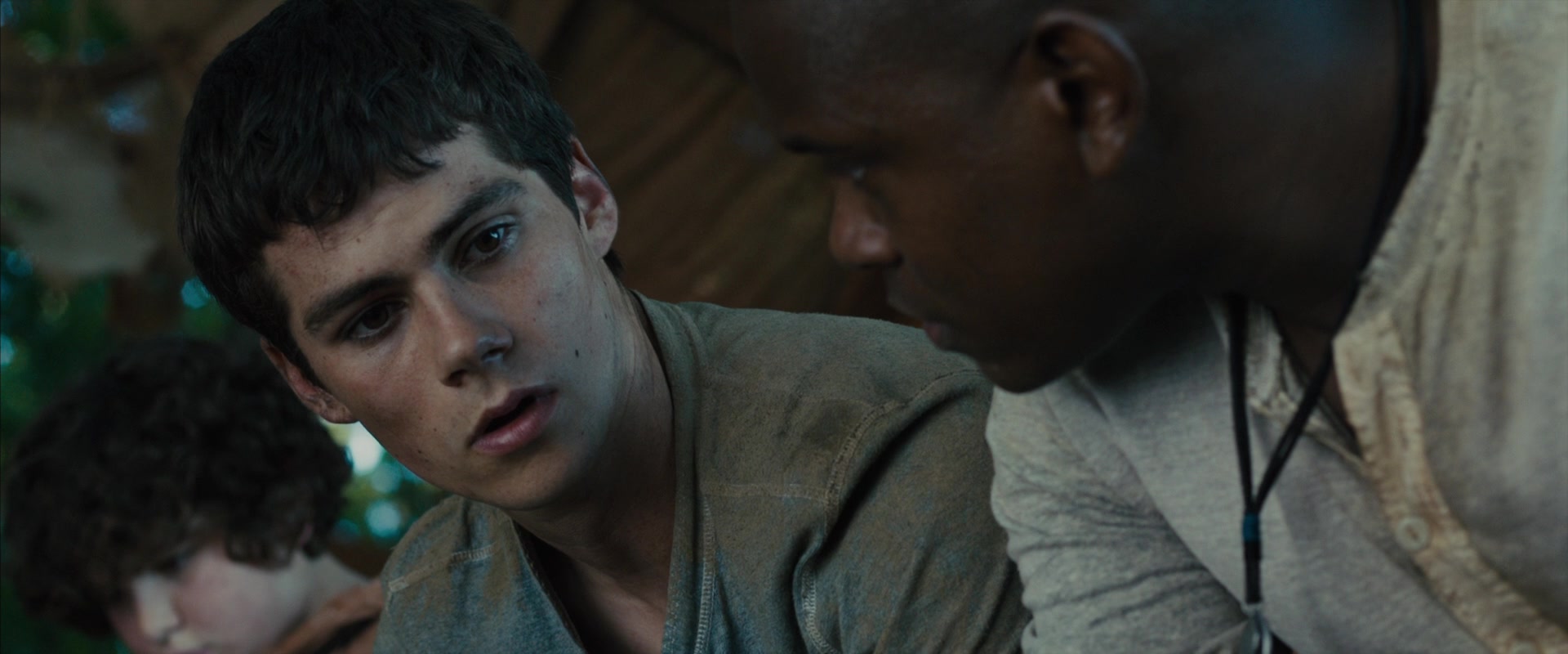 The Maze Runner (2014) Screencap | Fancaps