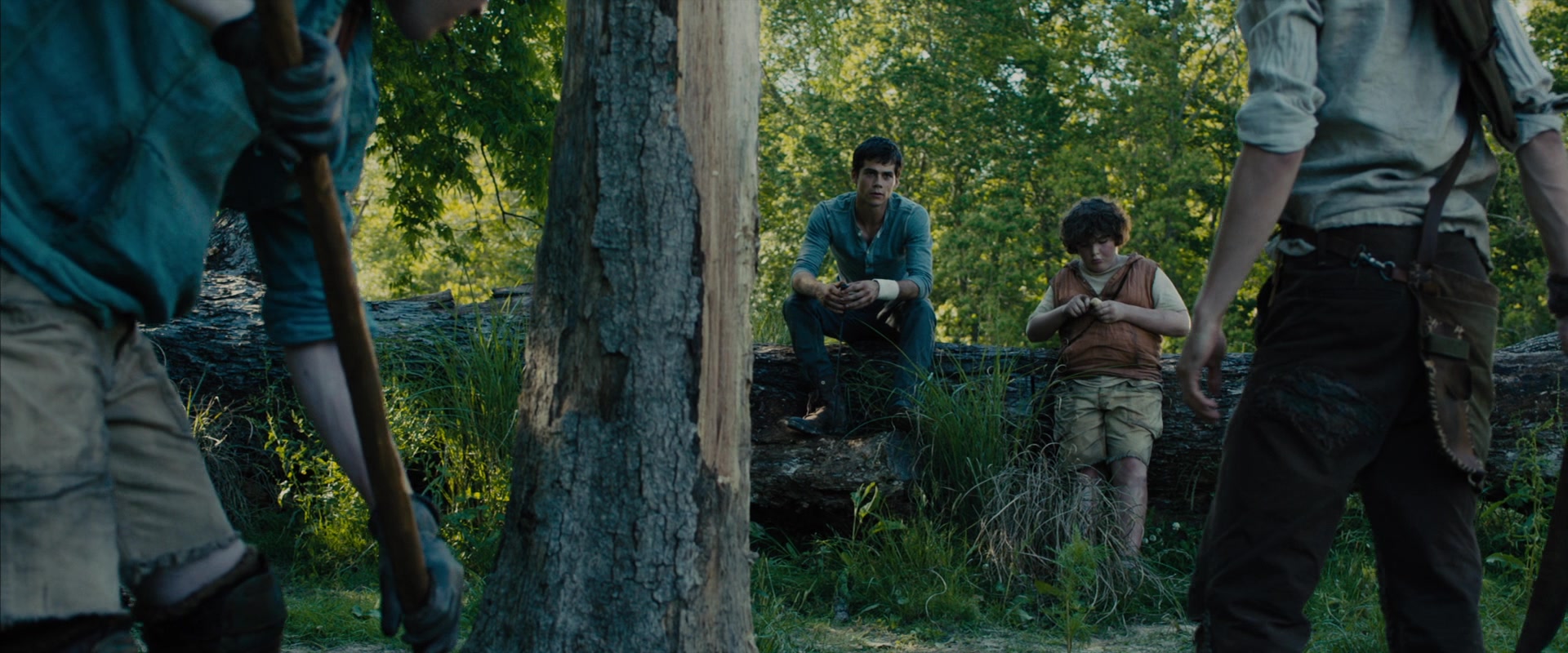 The Maze Runner (2014) Screencap | Fancaps