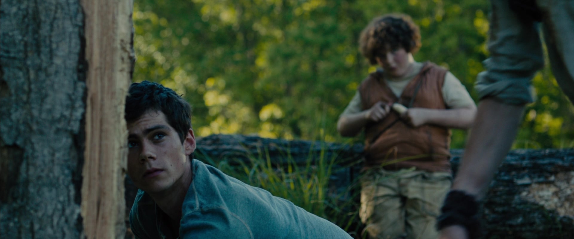 The Maze Runner (2014) Screencap | Fancaps