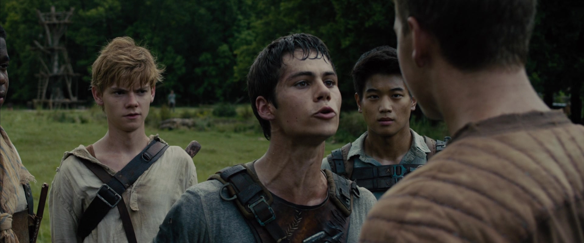 The Maze Runner (2014) Screencap | Fancaps