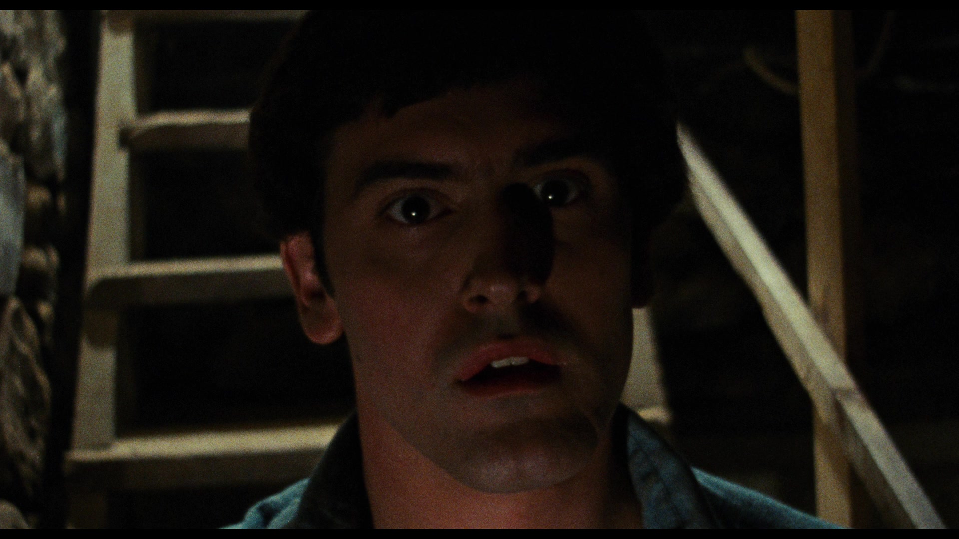 The Evil Dead (1981) Screencap 