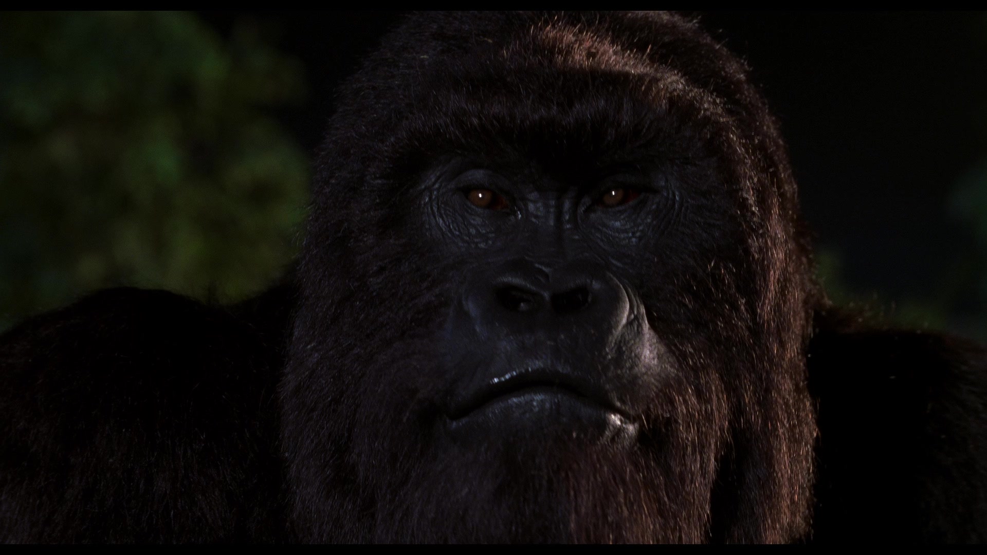 Mighty Joe Young (1998) Screencap | Fancaps