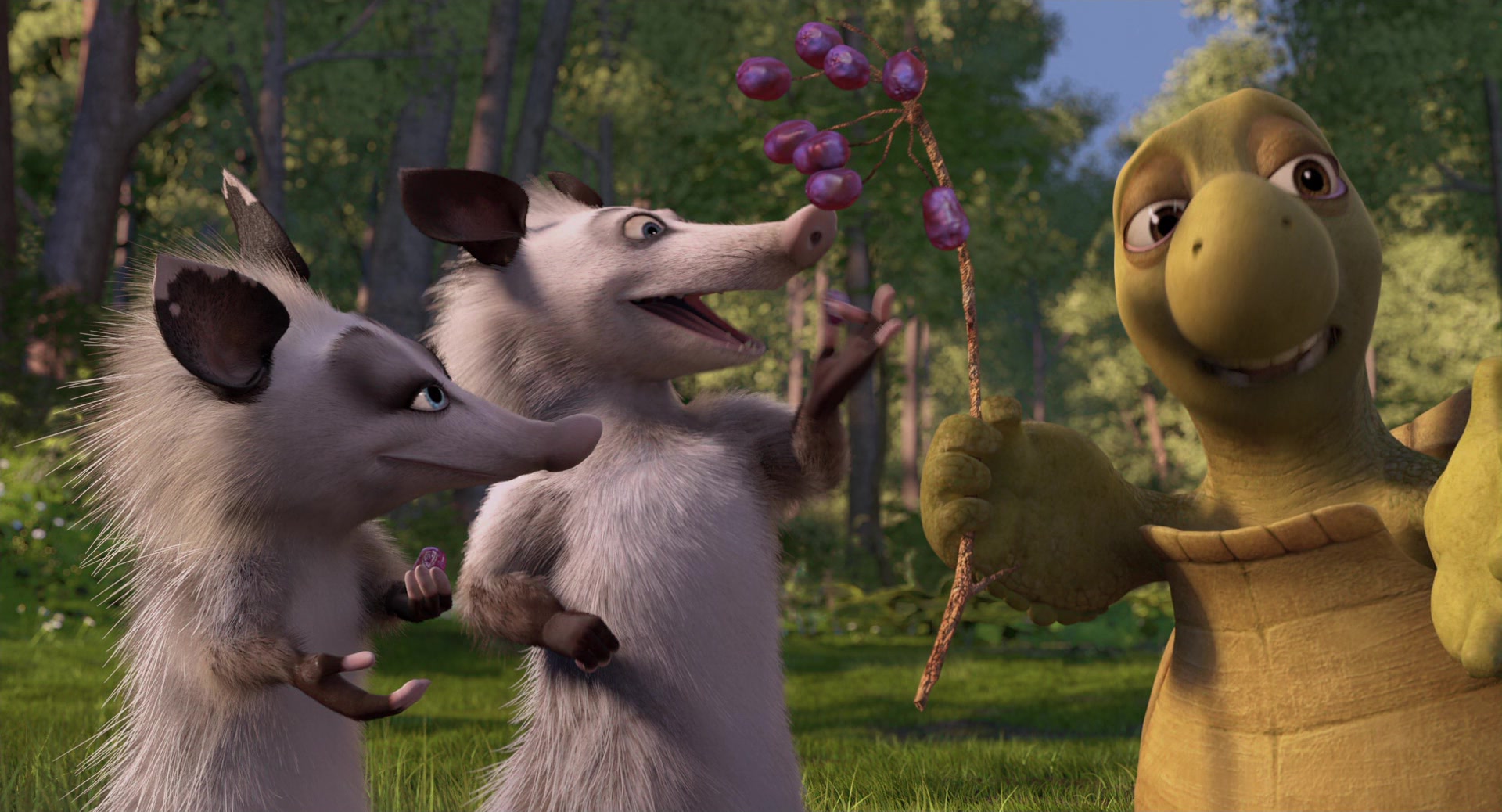 Over the Hedge (2006) Screencap | Fancaps