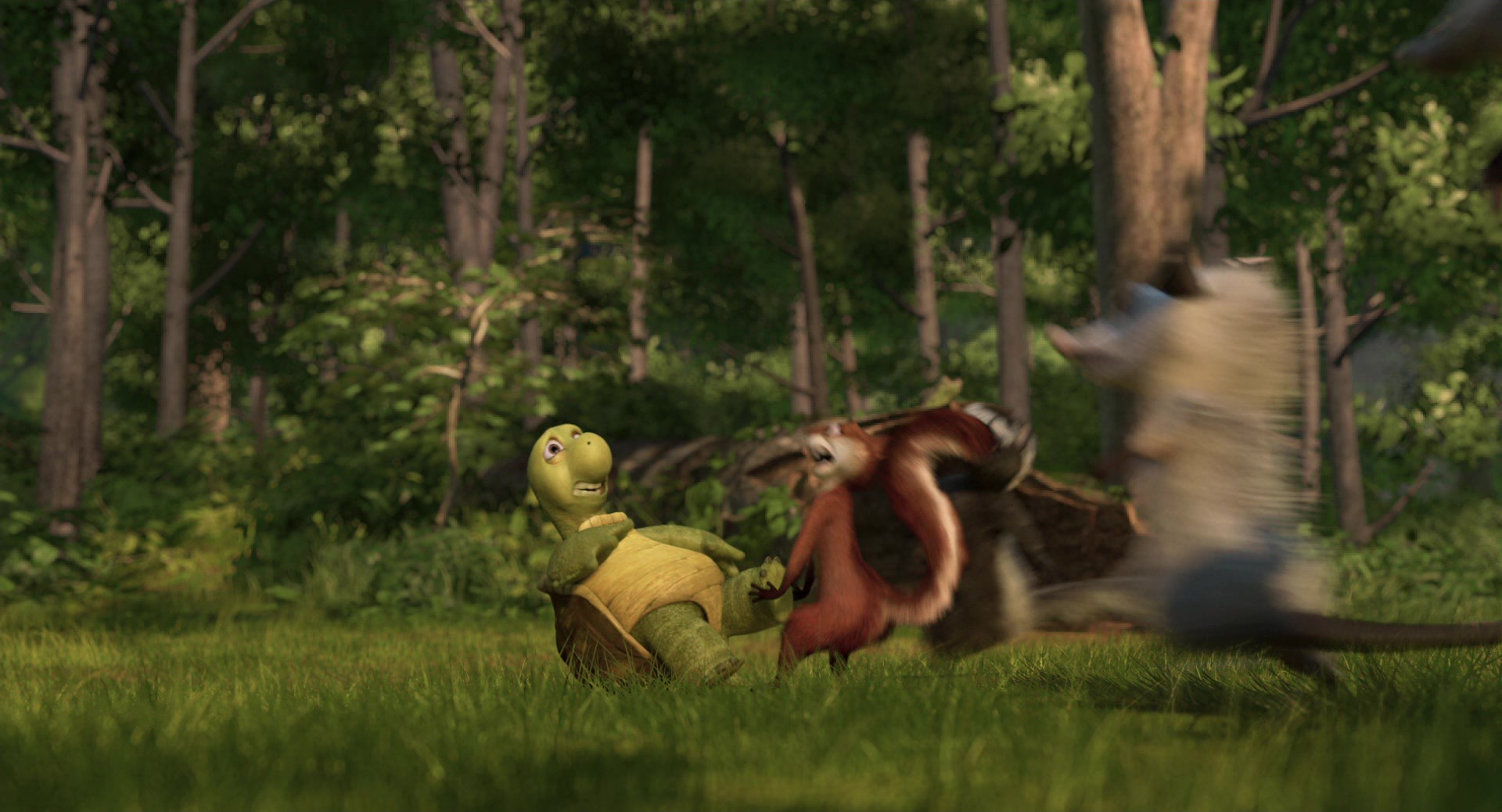 Over the Hedge (2006) Screencap | Fancaps