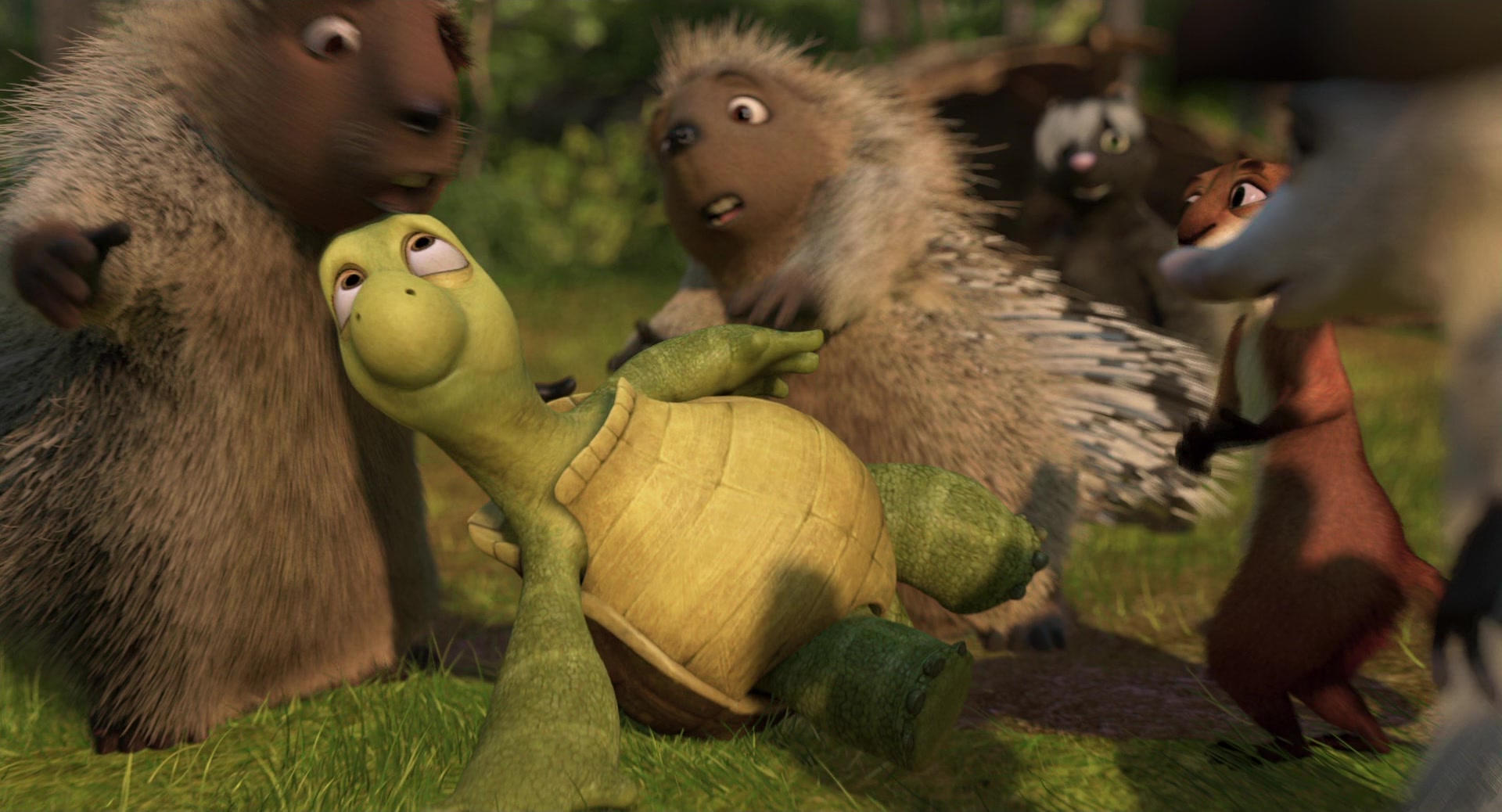 Over the Hedge (2006) Screencap | Fancaps