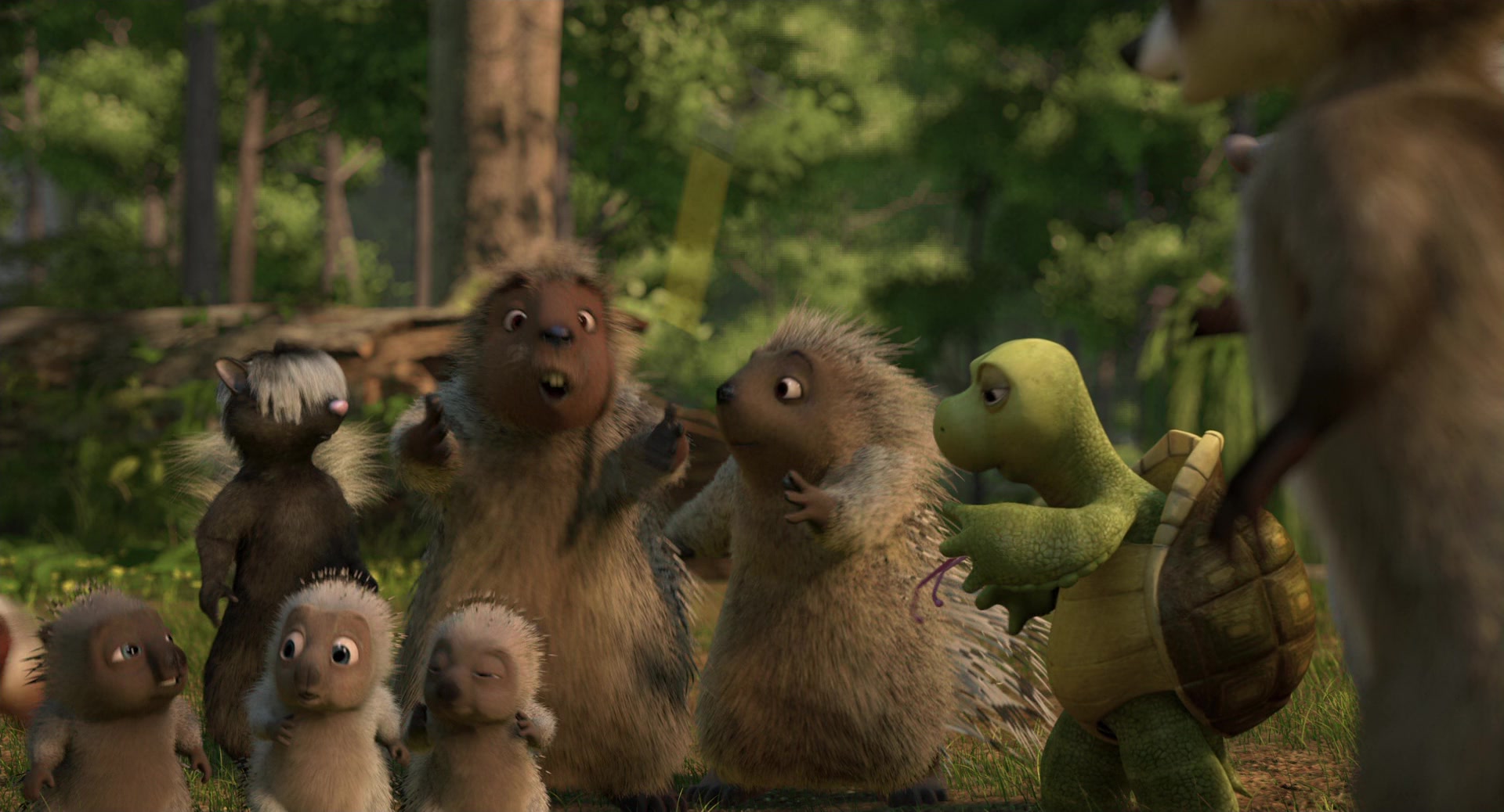 Over the Hedge (2006) Screencap | Fancaps