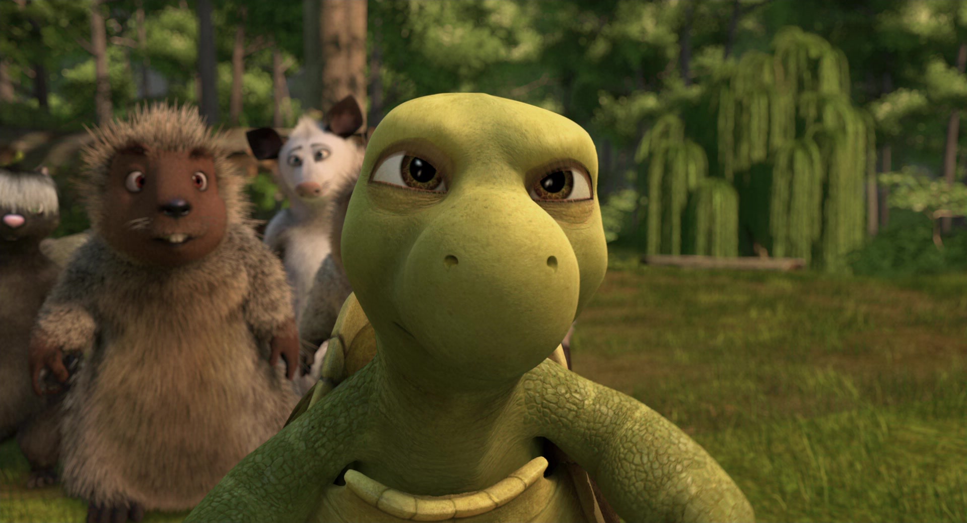 Over the Hedge (2006) Screencap | Fancaps