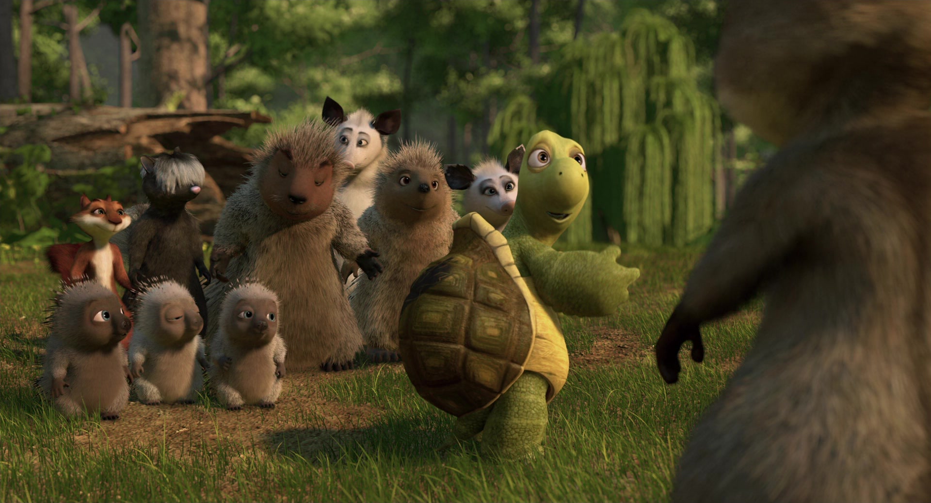 Over the Hedge (2006) Screencap | Fancaps