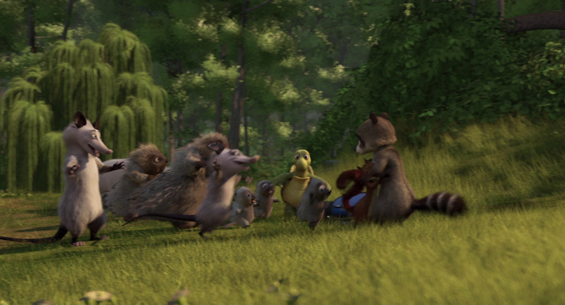 Over The Hedge 2006 Screencap Fancaps