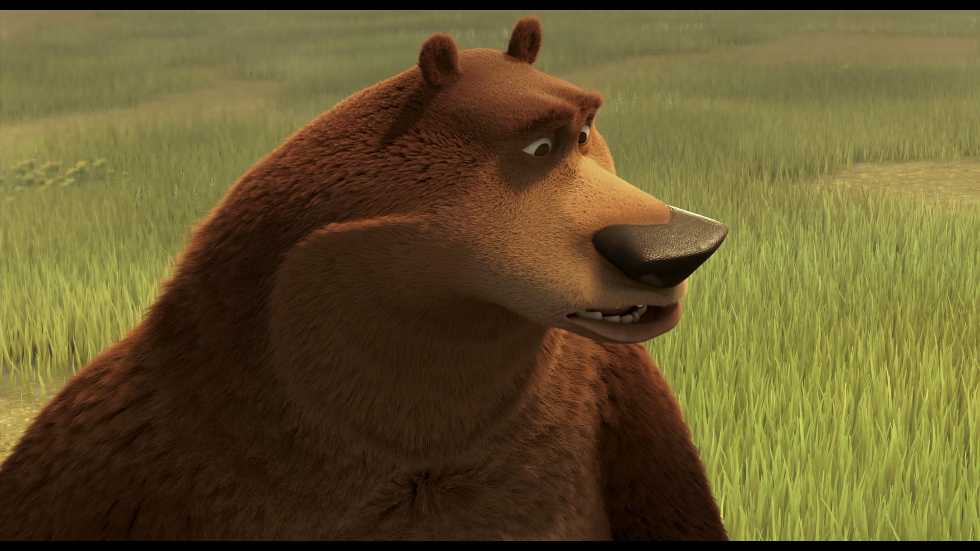 Open Season Screencap | Fancaps