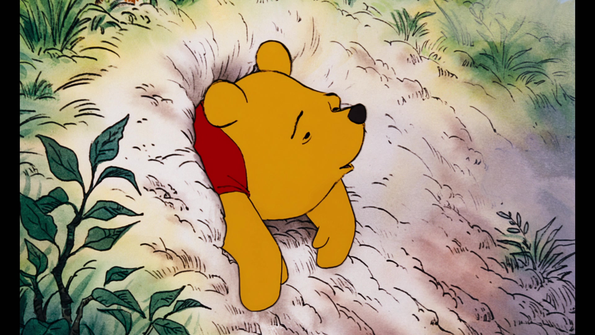 The Many Adventures of Winnie the Pooh (1977) Screencap | Fancaps