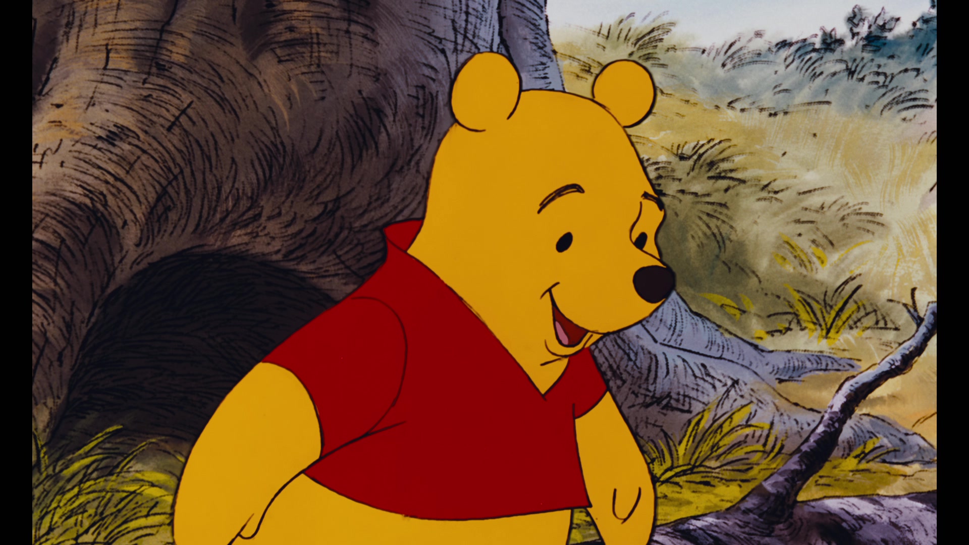 The Many Adventures of Winnie the Pooh (1977) Screencap | Fancaps