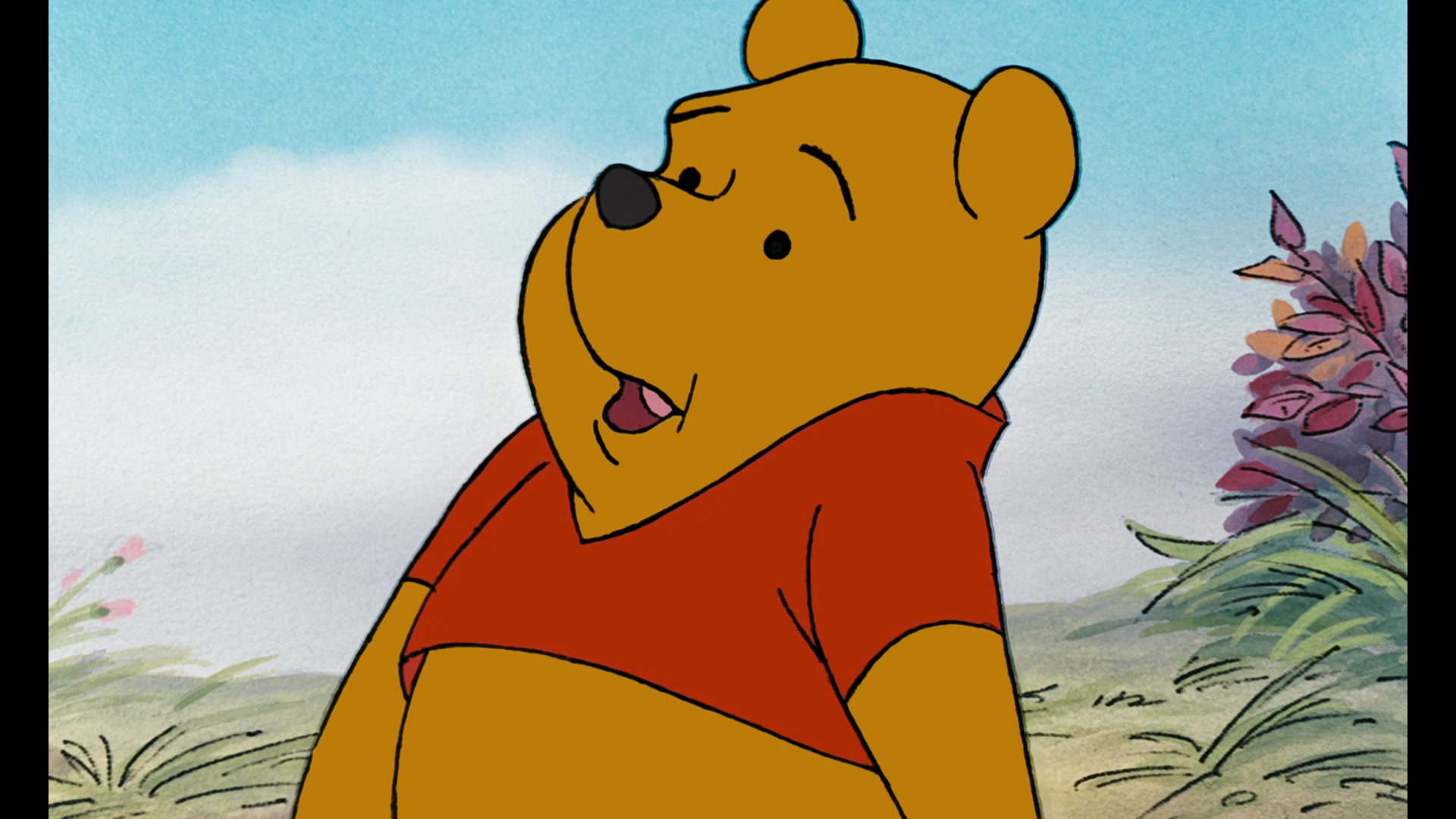 The Many Adventures of Winnie the Pooh (1977) Screencap | Fancaps