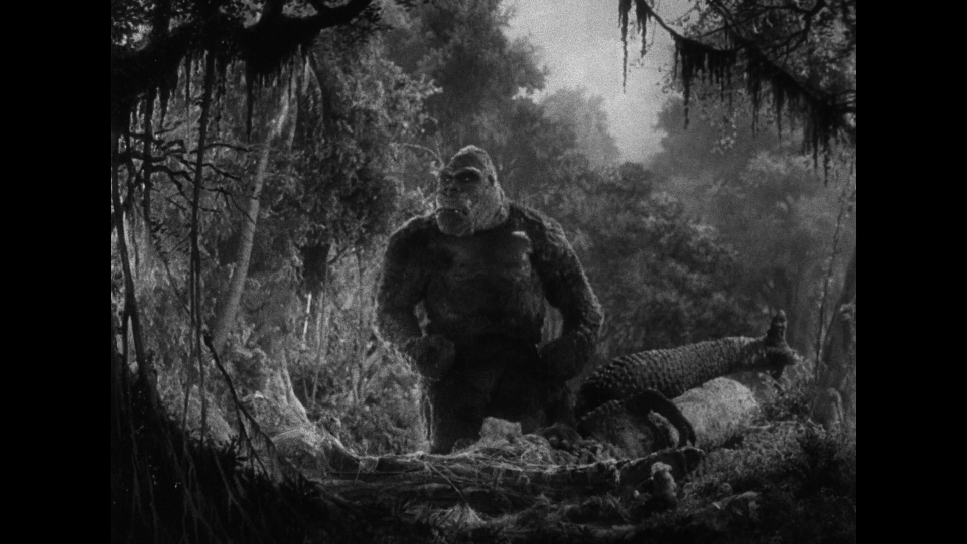 King Kong (1933) Screencap | Fancaps