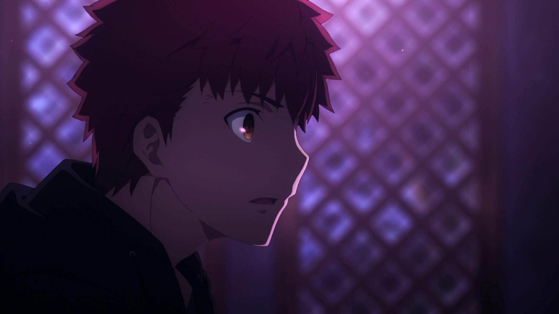 Fate/Stay Night: Heaven's Feel - I. Presage Flower (2017) Screencap ...