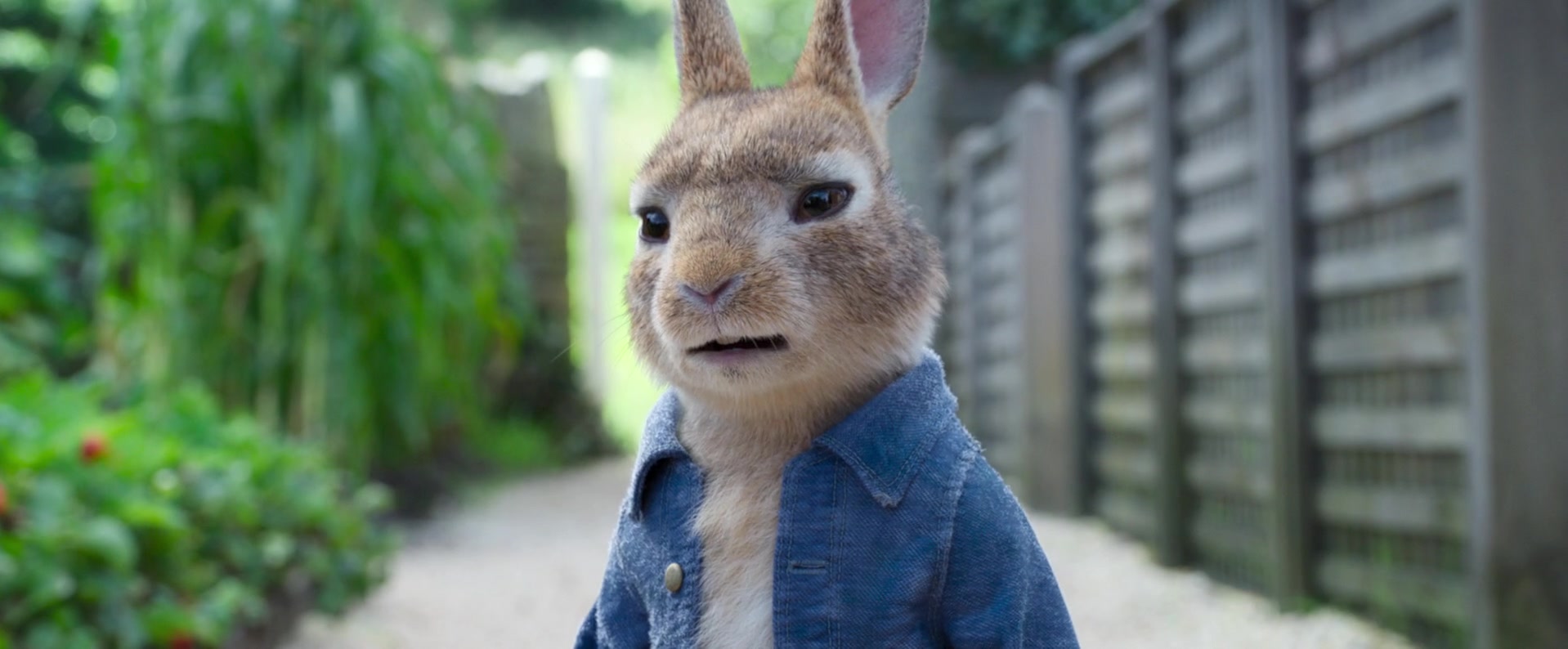 Peter Rabbit 2: The Runaway (2021) Screencap | Fancaps