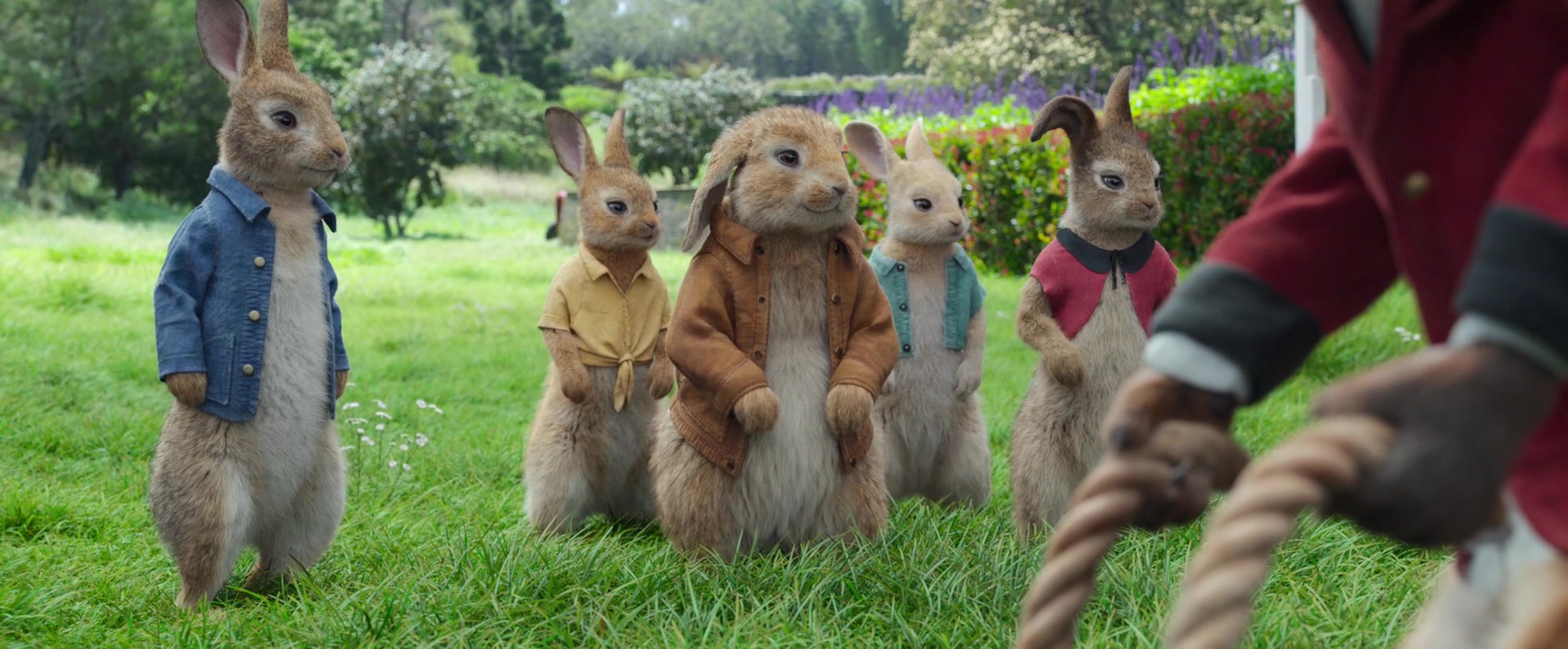 Peter Rabbit 2: The Runaway (2021) Screencap | Fancaps