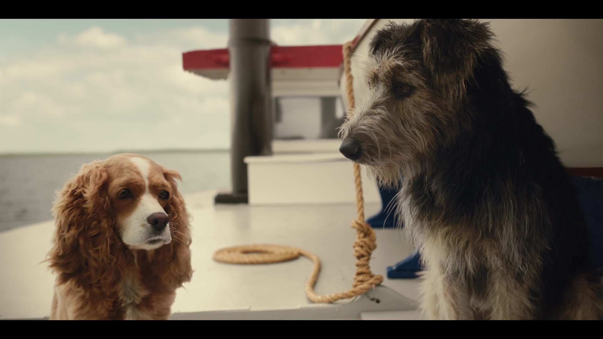 Lady and the Tramp (2019) Screencap | Fancaps