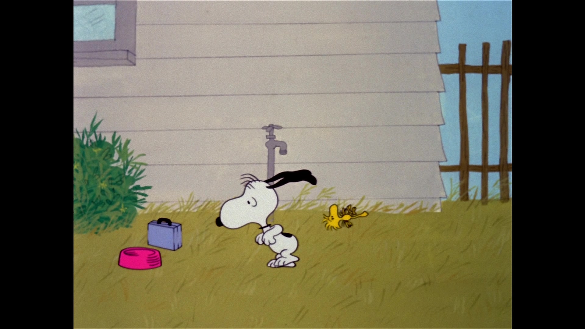 Snoopy Come Home (1972) Screencap | Fancaps