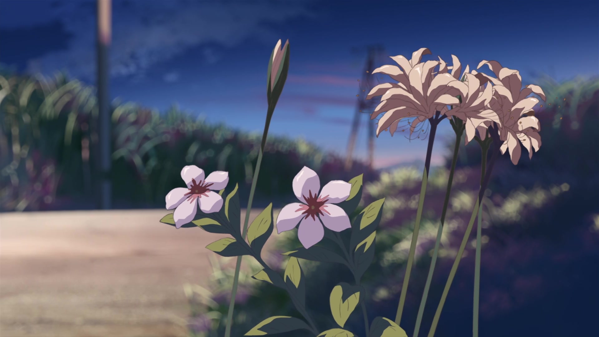 5 Centimeters Per Second Screencap 