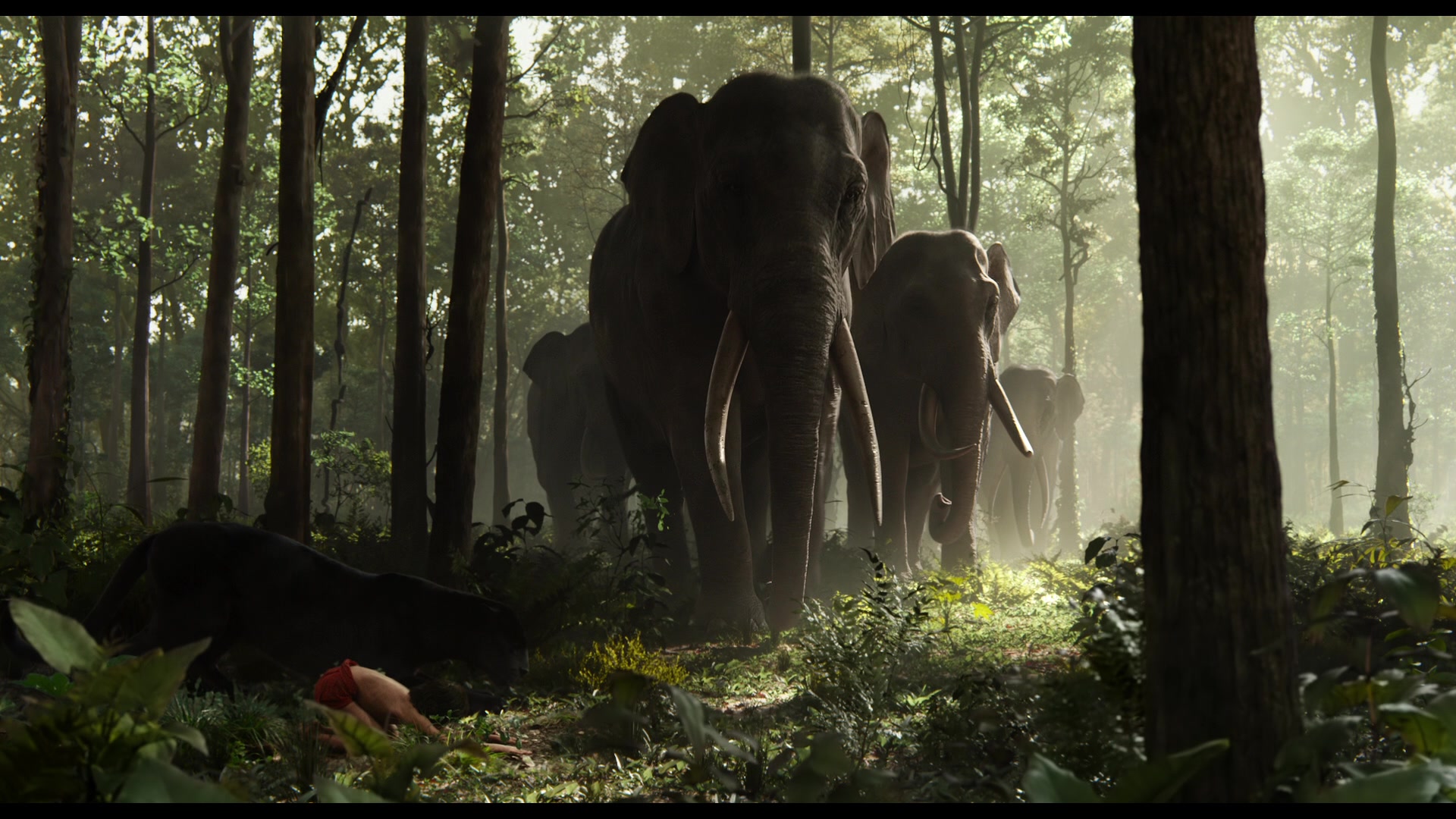 The Jungle Book 2016 Screencap Fancaps