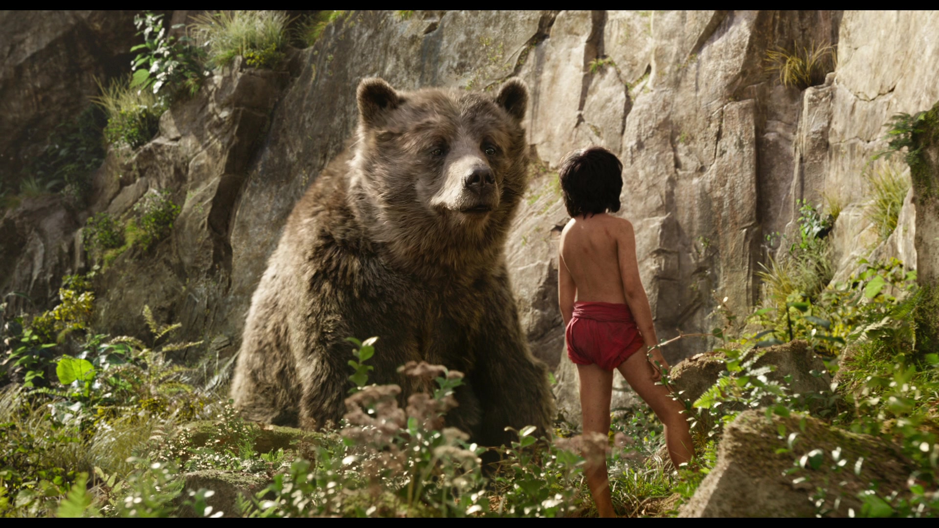 The Jungle Book 2016 Screencap | Fancaps