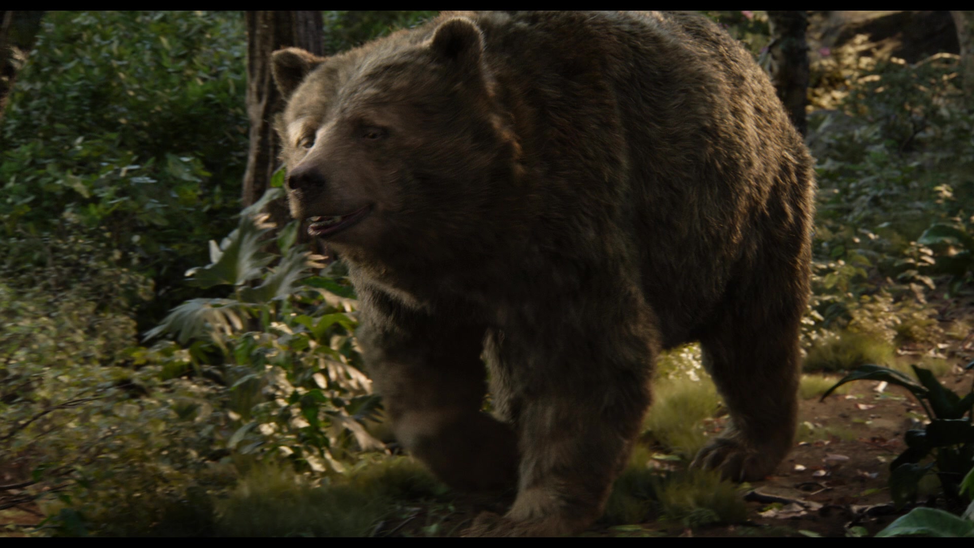 The Jungle Book 2016 Screencap Fancaps