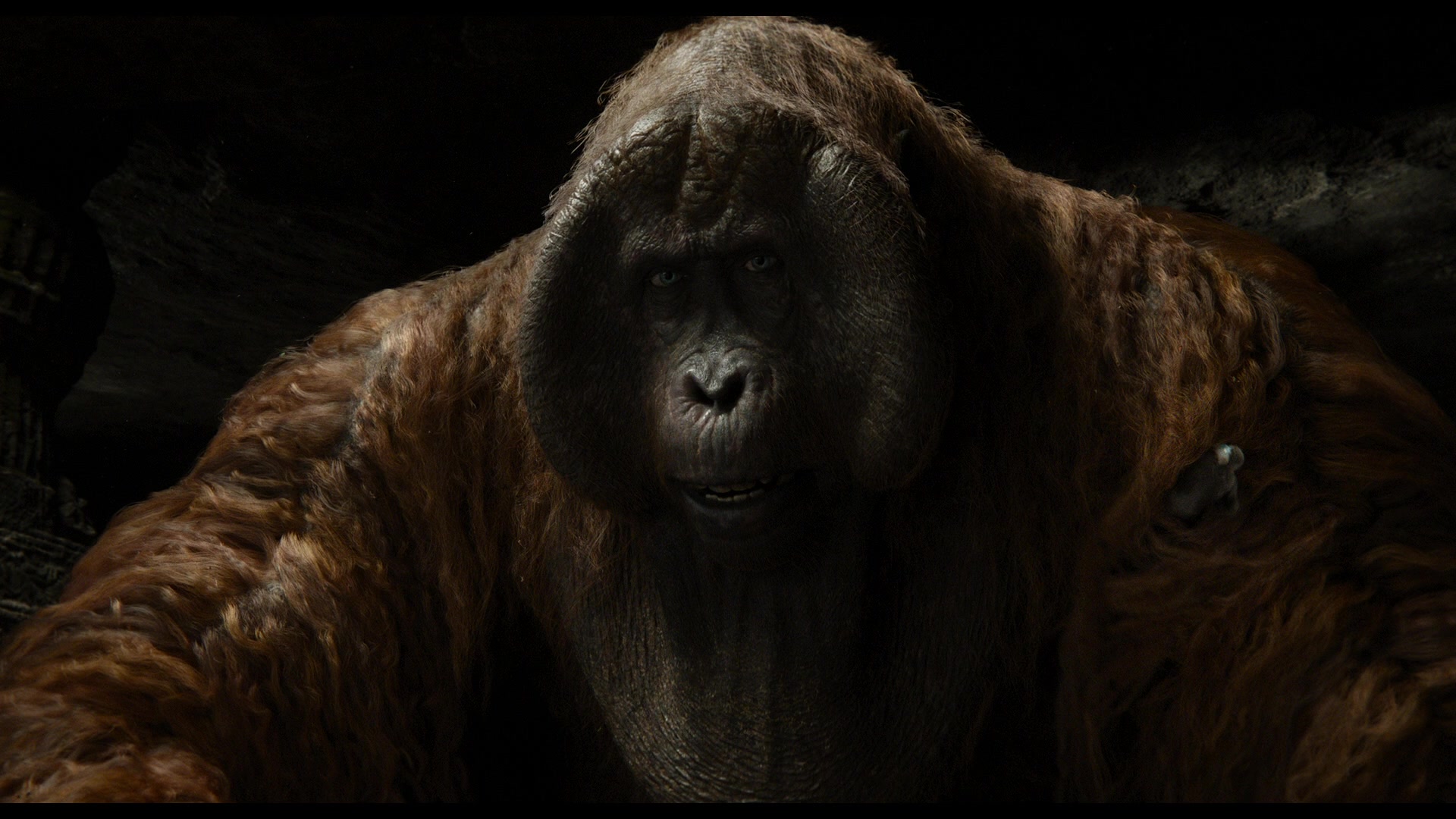 The Jungle Book 2016 Screencap | Fancaps