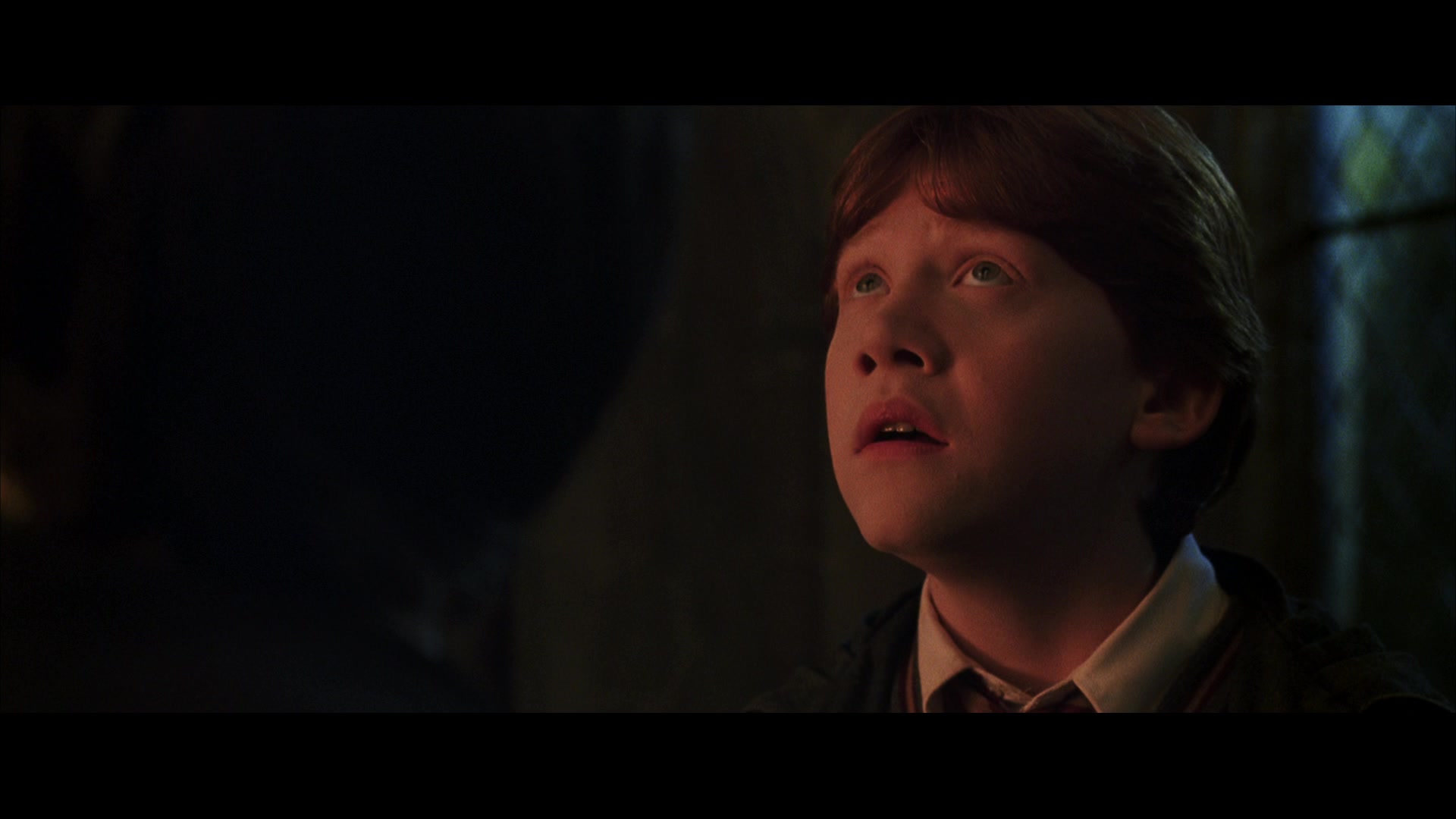 Harry Potter and the Chamber of Secrets Screencap | Fancaps