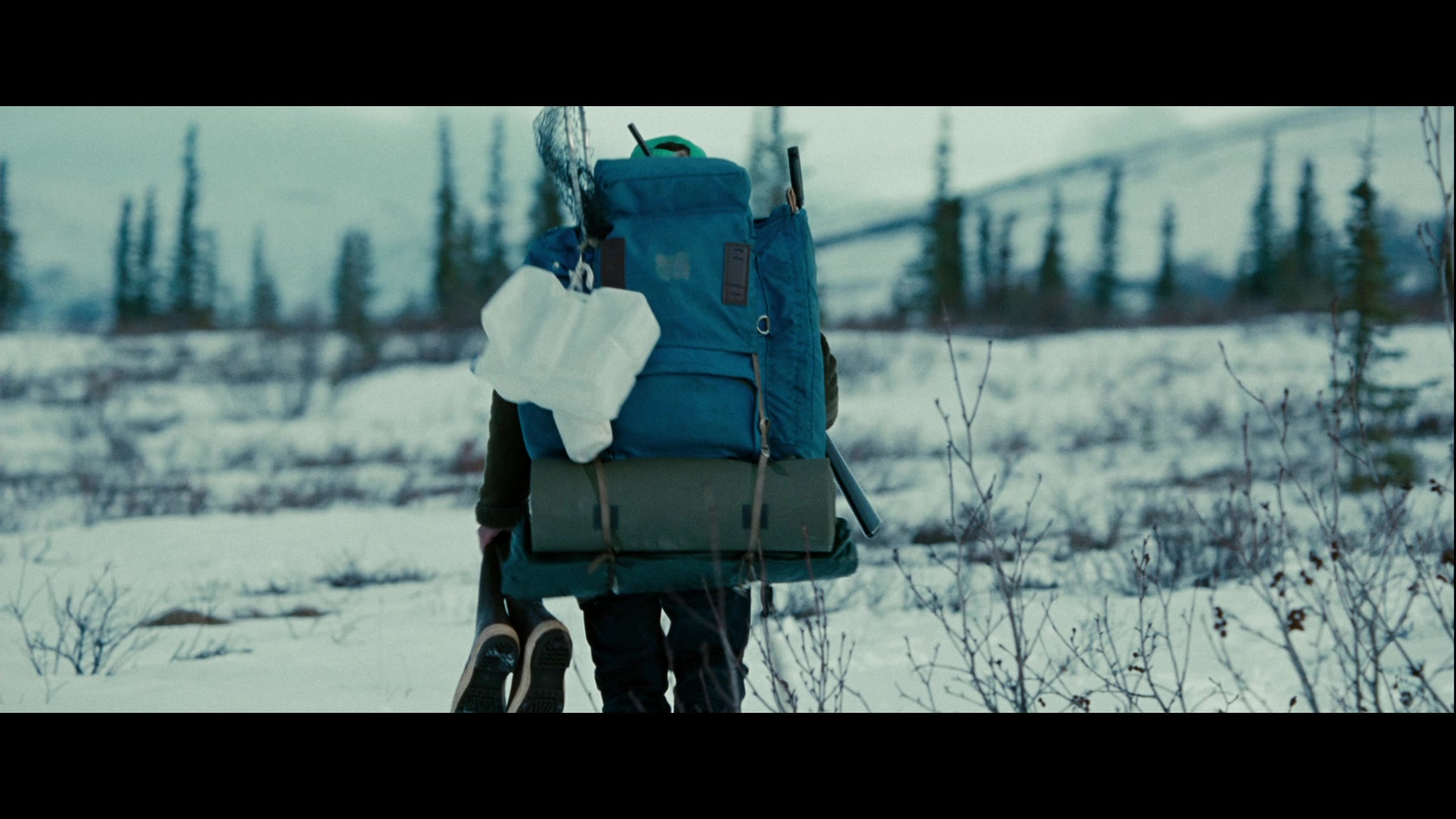 Into The Wild 2007 Screencap Fancaps 