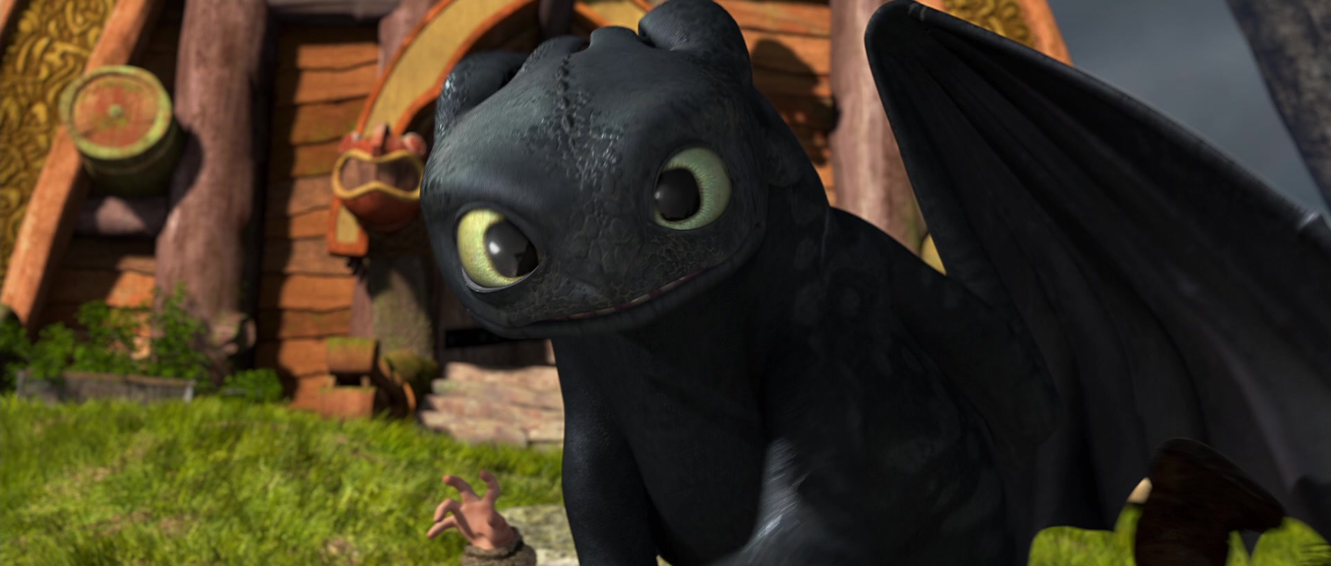 How to Train Your Dragon (2010) Screencap | Fancaps