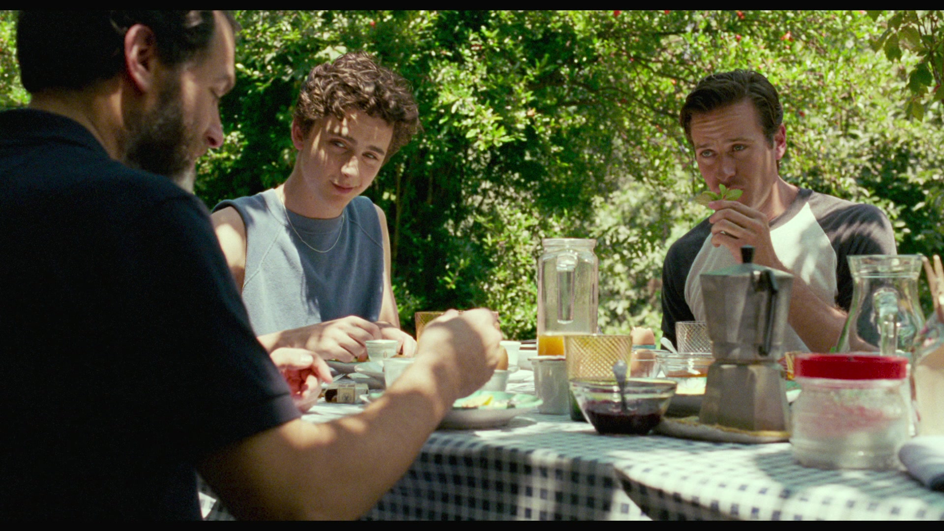 Call Me By Your Name (2017) Screencap | Fancaps