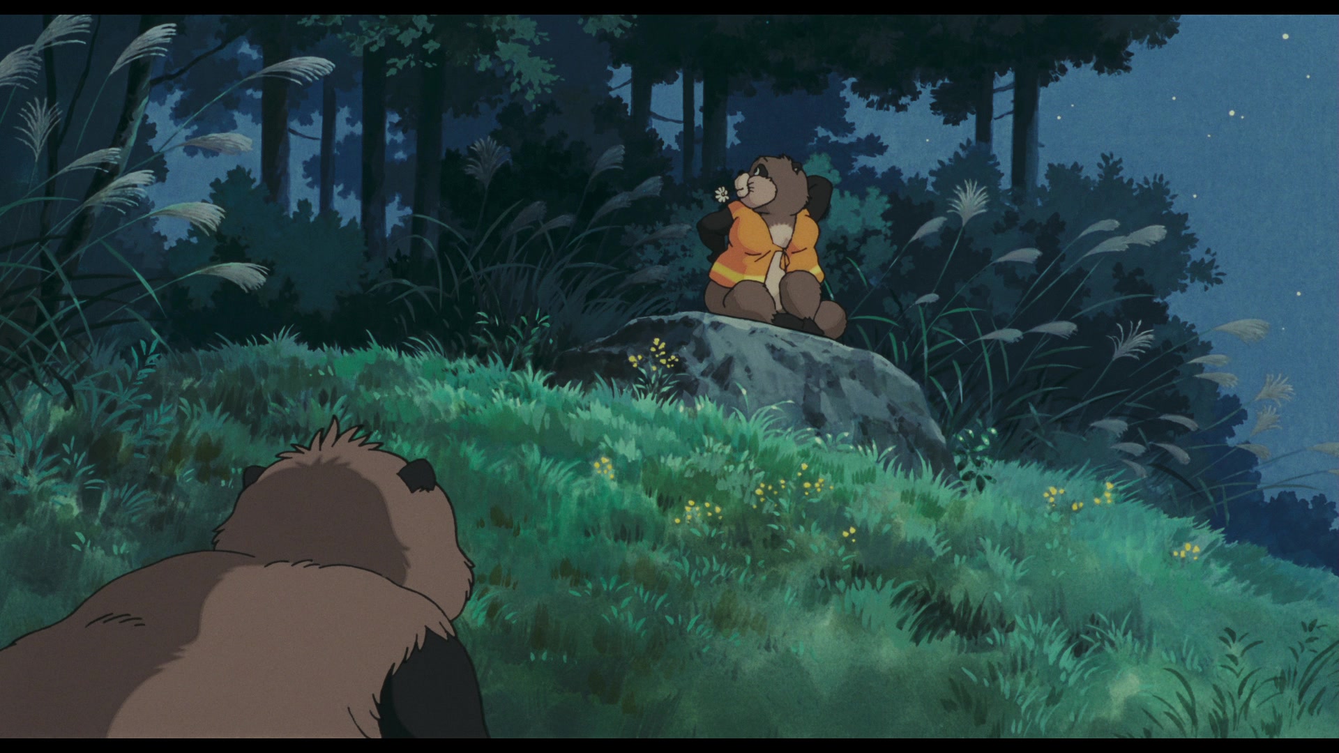 Pom Poko (1994) Screencap | Fancaps