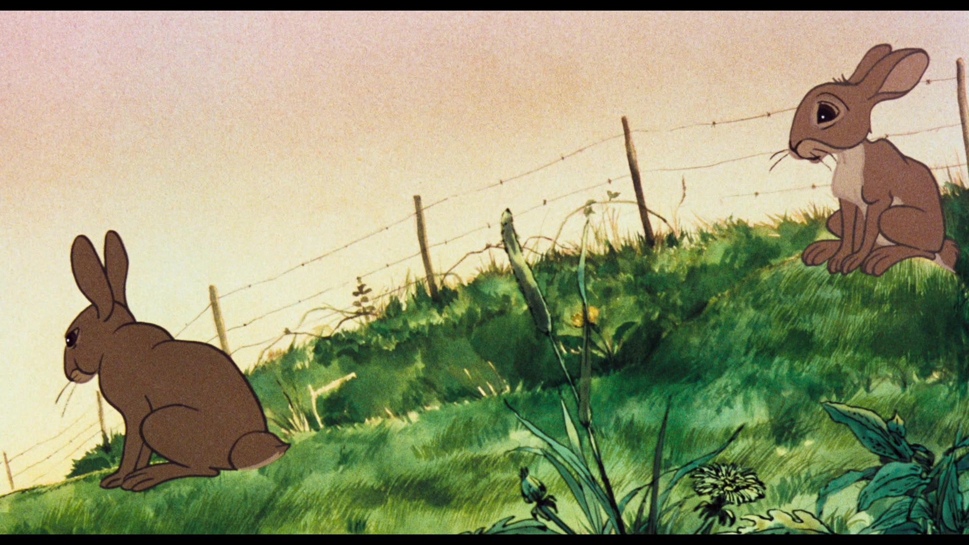 Watership Down (1978) Screencap | Fancaps