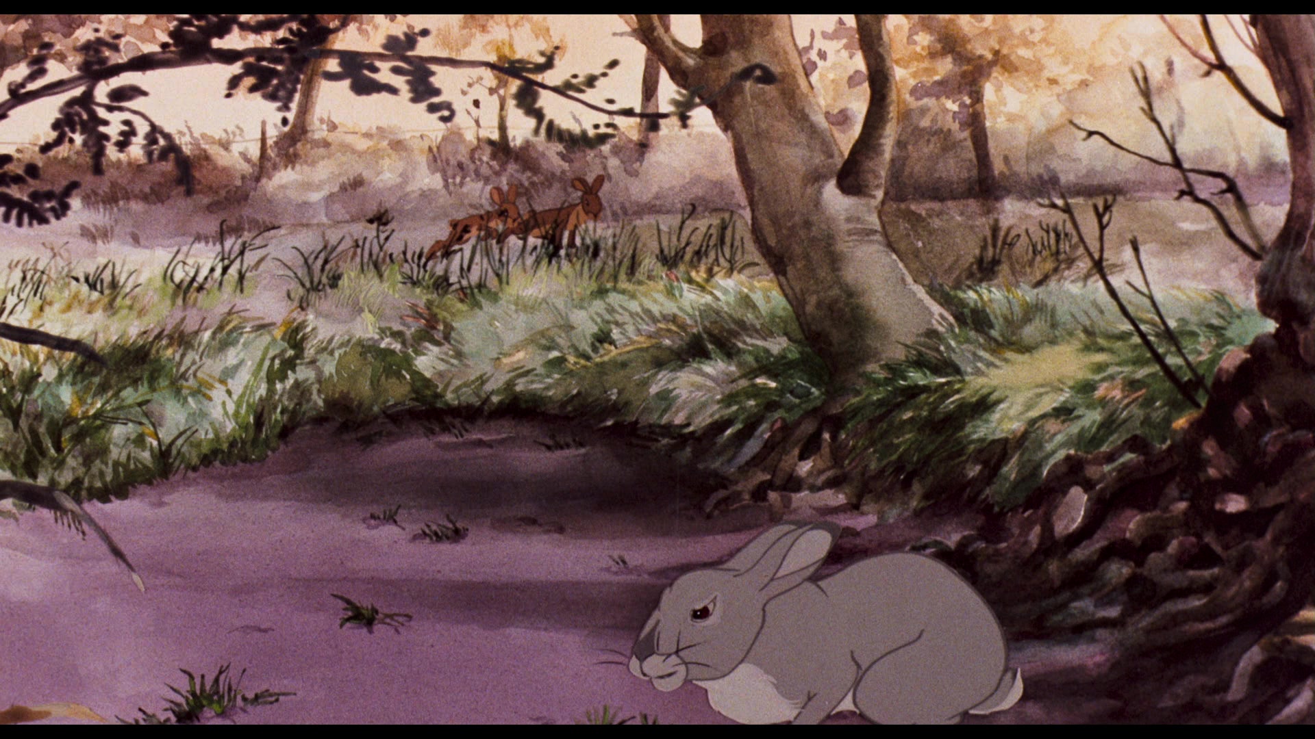 Watership Down (1978) Screencap | Fancaps