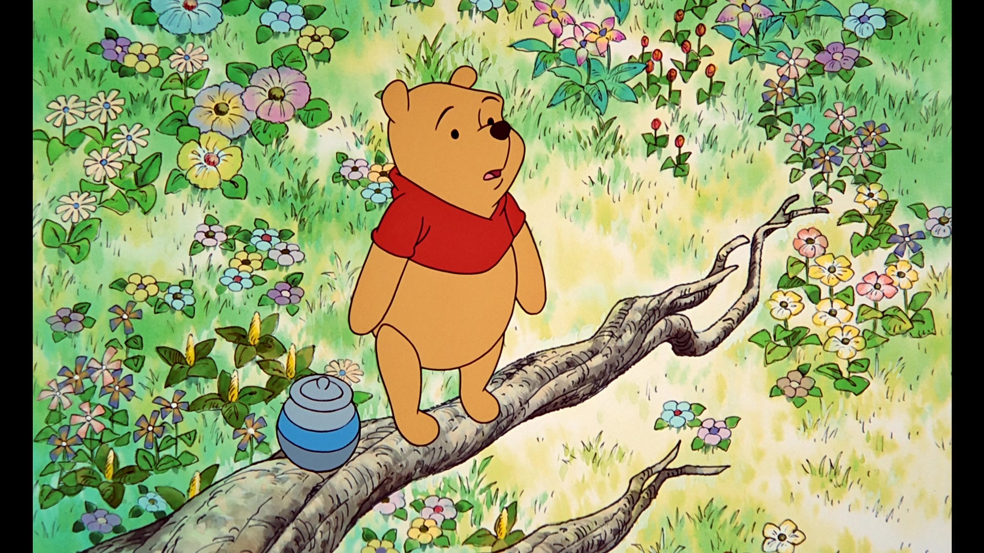 Pooh's Grand Adventure: The Search for Christopher Robin (1997 ...