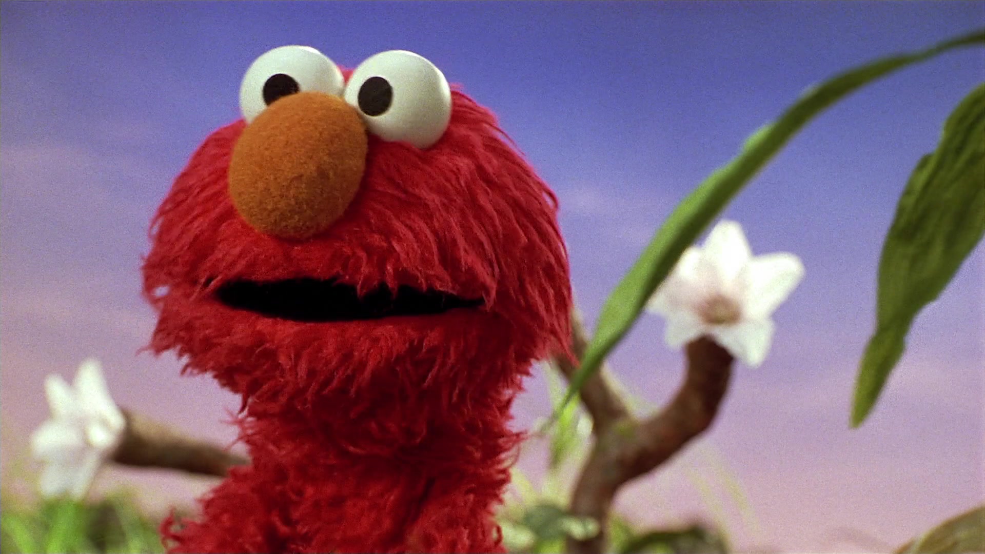 The Adventures of Elmo in Grouchland (1999) Screencap | Fancaps