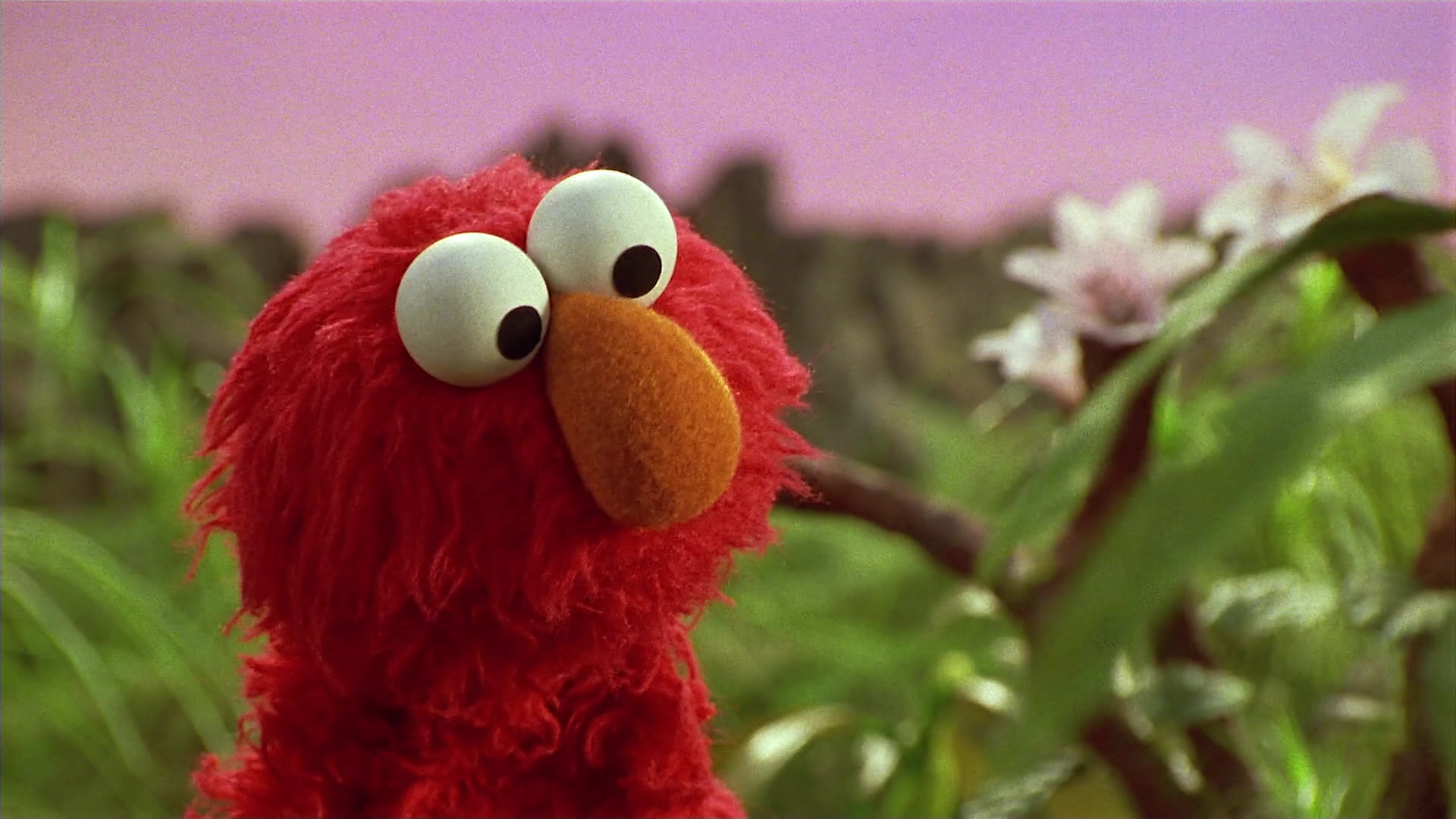 The Adventures of Elmo in Grouchland (1999) Screencap | Fancaps