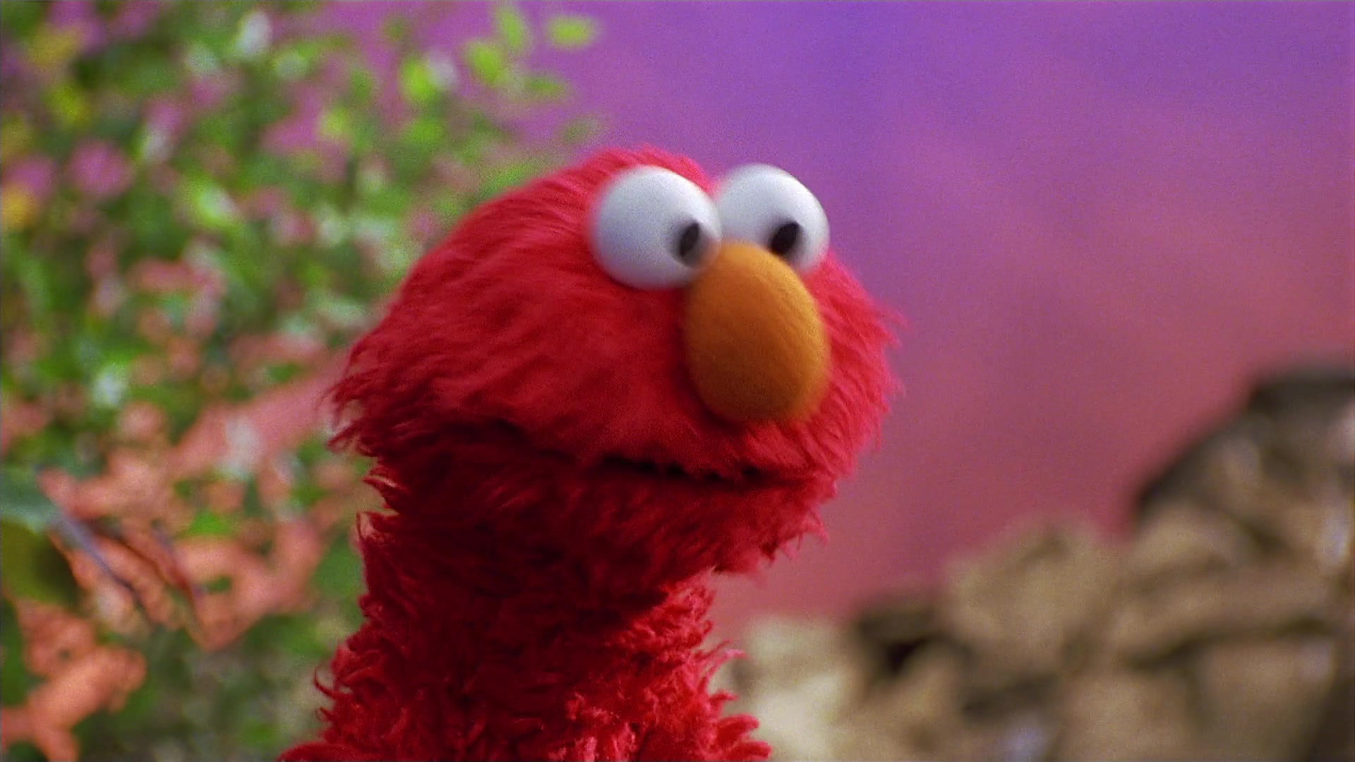 The Adventures of Elmo in Grouchland (1999) Screencap | Fancaps